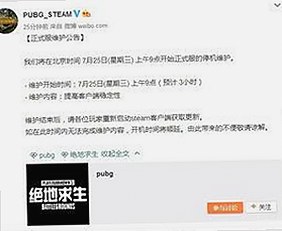 国产TS系列引发热议,真相竟在这里?